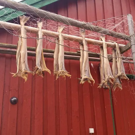 Lofotbo 度假居