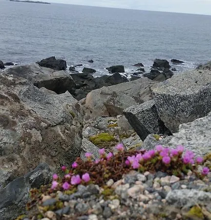 Lofotbo ستامسوند