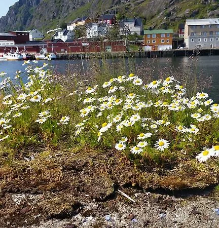 Lofotbo Vakantiehuis