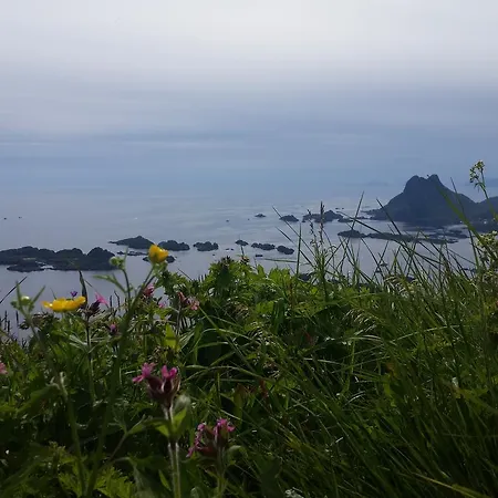 Lofotbo * Stamsund