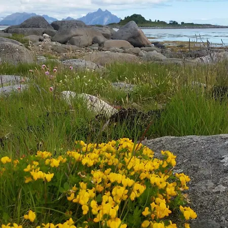 Lofotbo Stamsund