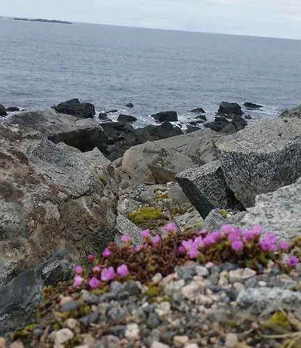 Lofotbo Stamsund
