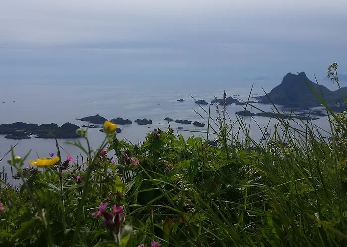 Lofotbo * Stamsund