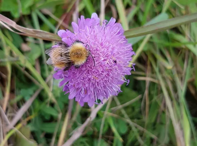 Сasa de vacaciones Lofotbo