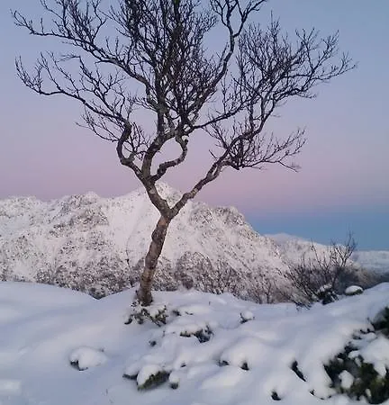 Lofotbo Nyaraló Stamsund
