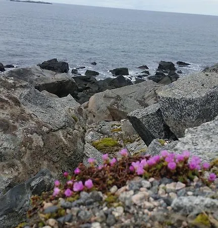 Lofotbo Stamsund